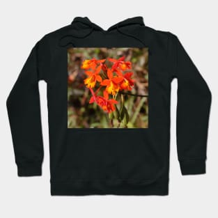 Crucifix Orchids Hoodie